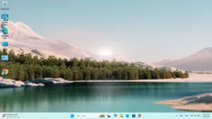 Windows Dell for sale  in Amman