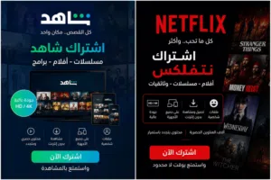 Netflix Accounts and Characters for Sale in Amman