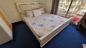 Used Carpet