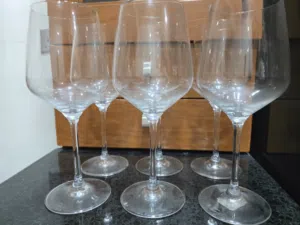RONA Brand Long Stem Glasses