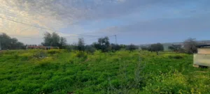 Residential Land for Sale in Irbid Al Husn