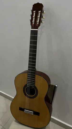 جيتار كلاسيك  Aria AK30-N للبيع