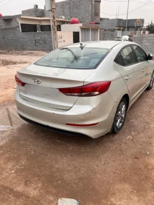 النتر مديل 17
