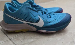 Nike Trail Run Shoes
