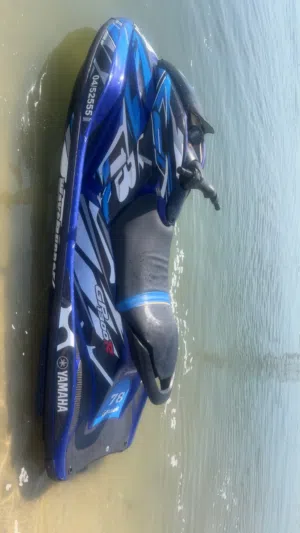 للبيع gd1300