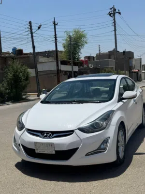 النتره خليجي فول مواصفات