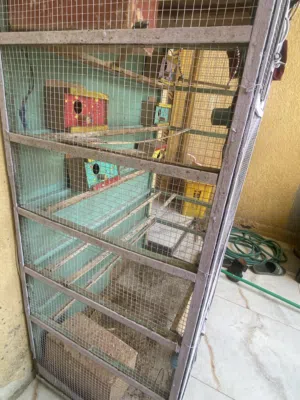 قفص طيور لحب بسعر مناسب