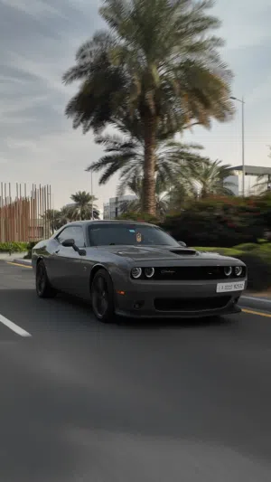Used Dodge Challenger in Dubai