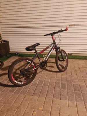 montane cycle