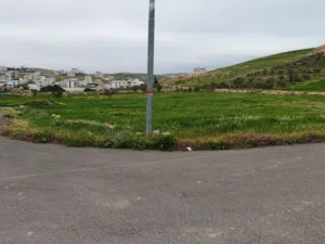 Residential Land for Sale in Amman Shafa Badran
