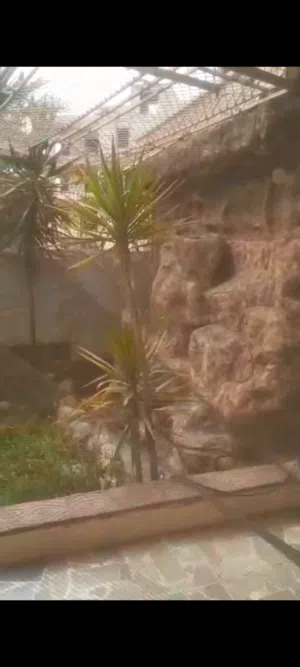 فرصة موقت.