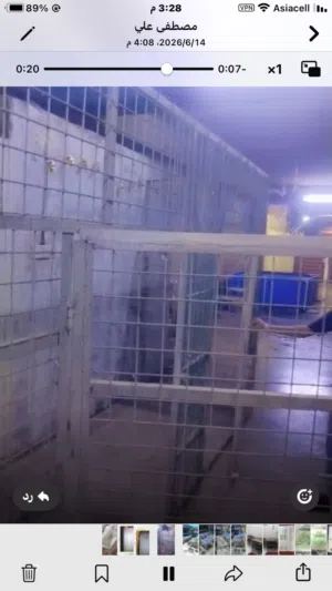 قفص حديد ثكيل مال حيوانات بي باب عدد 2