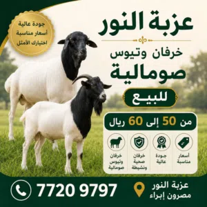 عزبة النور لبيع الأغنام والأعلاف