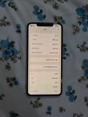 Apple iPhone 11 Pro Max 256 GB in Basra