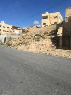 Residential Land for Sale in Zarqa Graiba