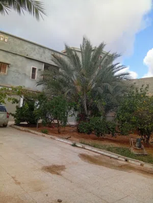 منزل دورين على طريق