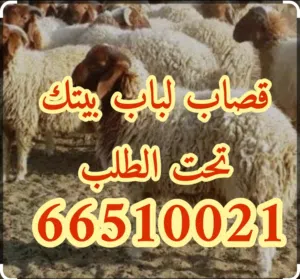 قصاب متنقل تحت الطلب لجميع مناطق الكويت