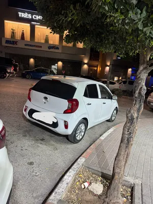 used-kia-picanto-in-hebron
