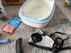 Cat used accessories for sale