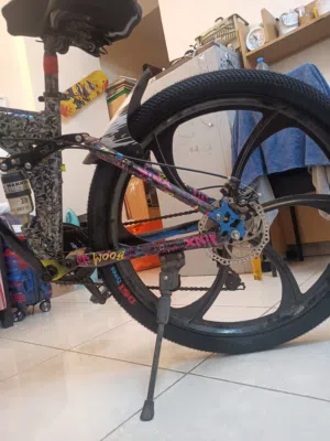 good cycle had modified body with extra sticker and new tyre