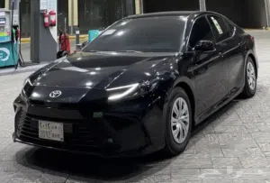 كداد تبوك .