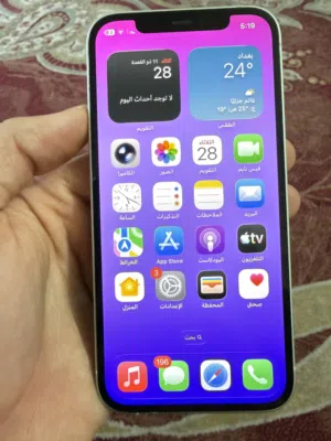 Iphone 12 العادي
