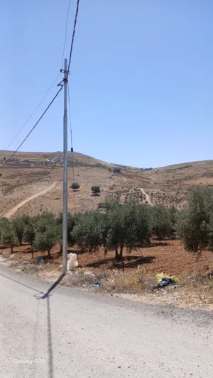 Farm Land for Sale in Zarqa Al-Alouk