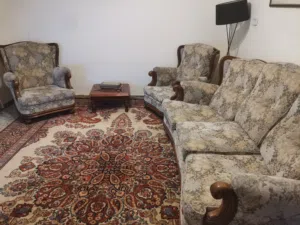 طقم صالون كلاسيكي بلجيكي