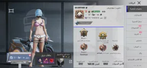 Pubg Accounts and Characters for Sale in Al Batinah