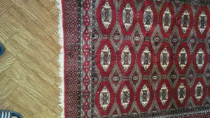 سجاد عجمي مصور