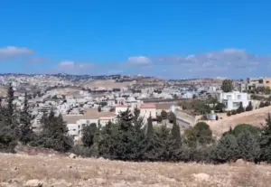 Residential Land for Sale in Salt Al Saro