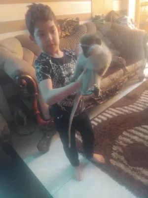 نسناس هادي