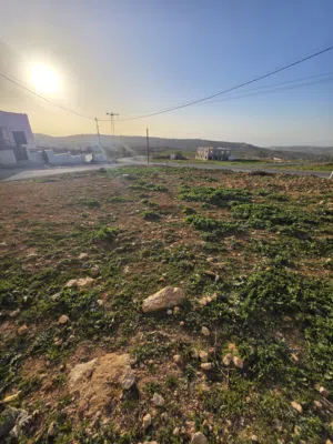 Residential Land for Sale in Amman Naour