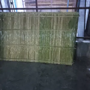 قصيب أخضر واصفر بجميع الأشكال الهندسية بأسعار مناسبه