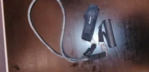 حزام حيوانات