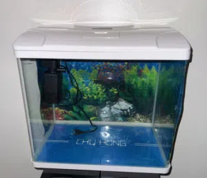 Fish aquarium with filter