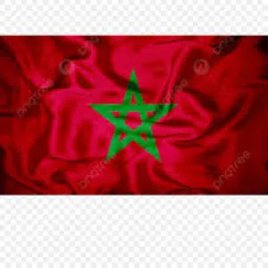 طباخ مغربي ندور فشغل