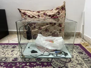 حوض اسماك.