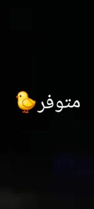 السلام عليكم متوفر عتاتيق وفراريج كيف امفرزات عمرهم شهرين مخلطات عربي فيومي زهري رود