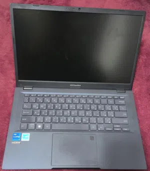 Asus Expertbook