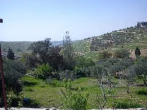 Residential Land for Sale in Amman Um Uthaiena