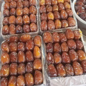 ‏تمور‏1