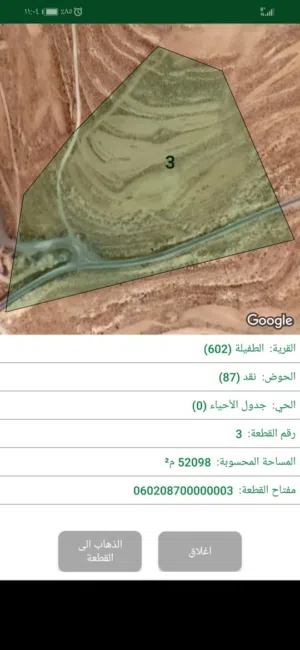 Farm Land for Sale in Tafila Other