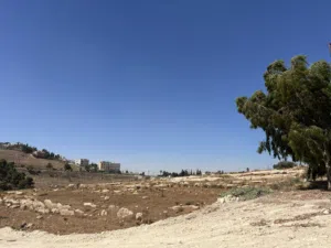 Residential Land for Sale in Salt Al Saro