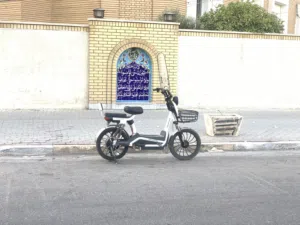 دراجة كهربائية تعمل اروح وارجع بيهه للدوام