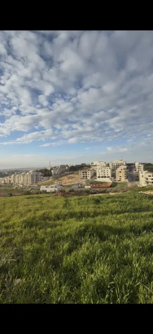 أرض على شارعين بإطلالة مفتوحة – فرصة لبناء فيلتك إطلالة خلابة على كندور عبدون (الحجرا)