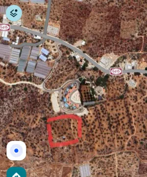 Farm Land for Sale in Tulkarm Other