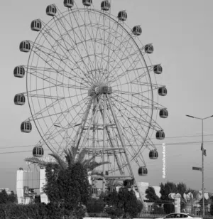عباس فاضل 