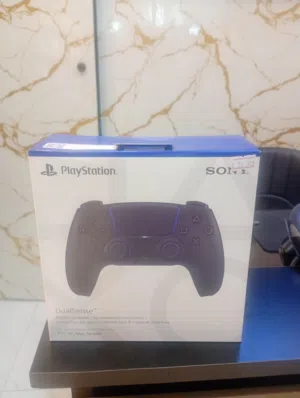 PS5 controller black and white