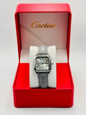 Cartier Santos-Dumont Small Model - Steel with Silver Sunray Dial & Grey Leather Strap
